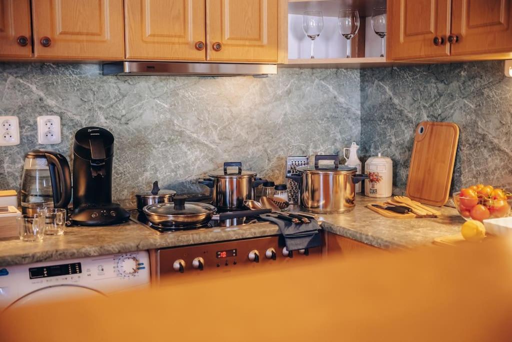 Magnificent Historical Penthouse In The Heart Of Prague Apartman Kültér fotó