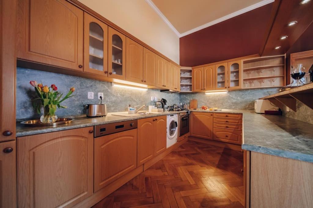 Magnificent Historical Penthouse In The Heart Of Prague Apartman Kültér fotó