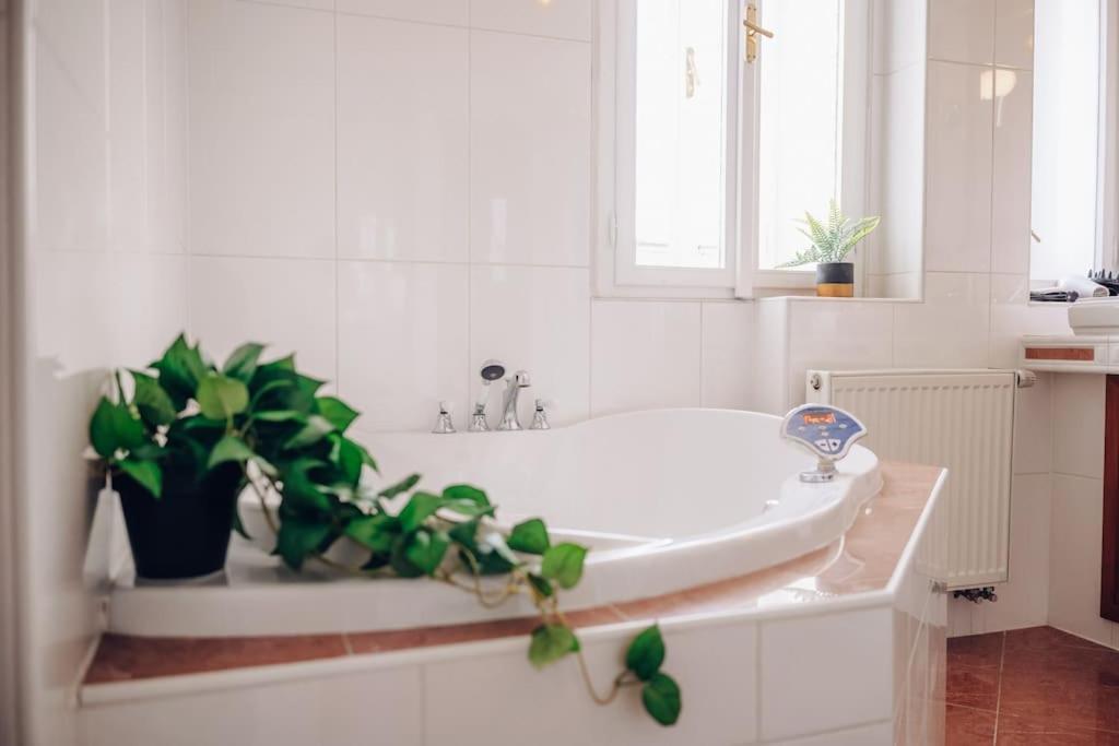 Magnificent Historical Penthouse In The Heart Of Prague Apartman Kültér fotó